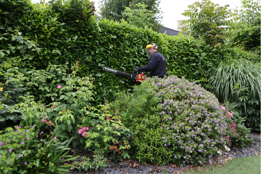 taille de haies par un jardinier paysagiste