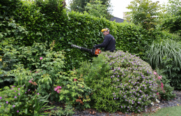 taille de haies par un jardinier paysagiste