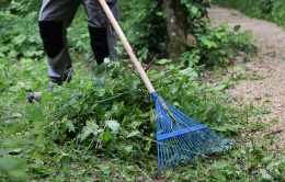 Ramassage des déchets végétaux