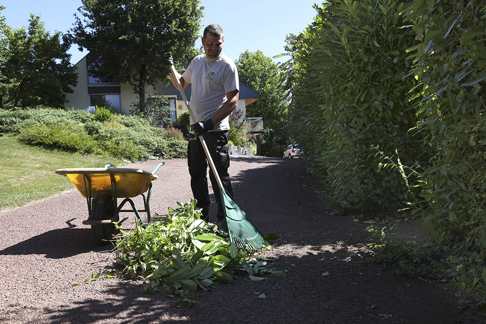 taille et entretien du jardin