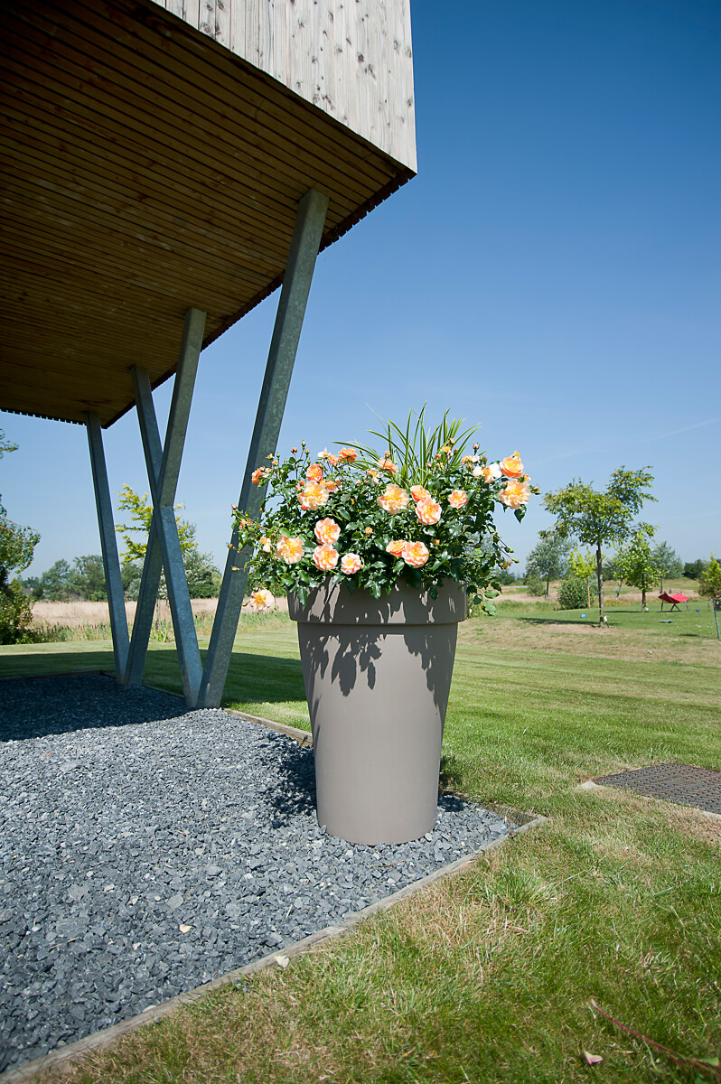 Rosier Daniel Moquet