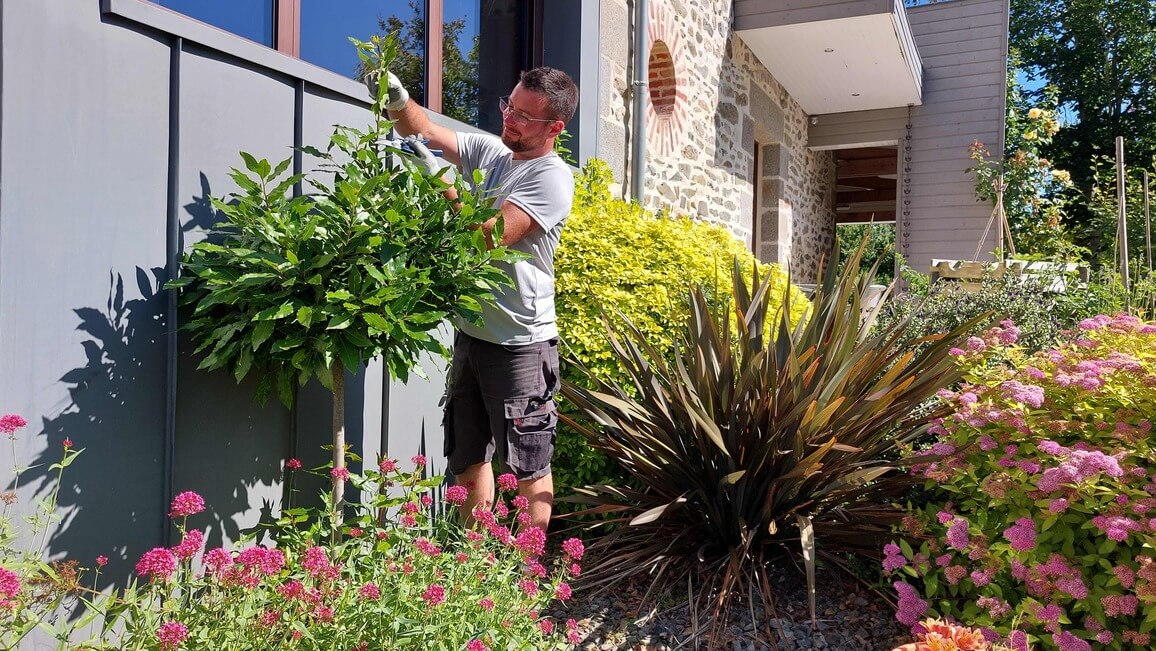 Un homme taillant un arbuste