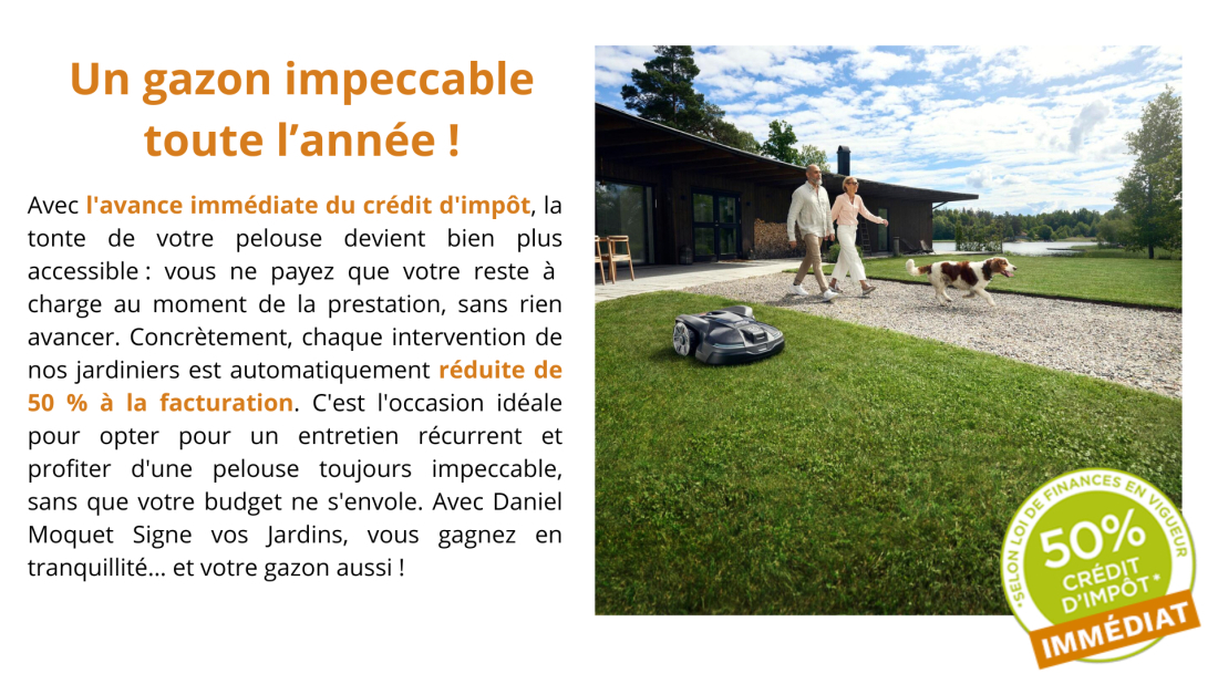 tonte de pelouse par un professionnel