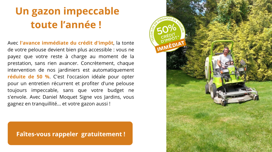 tonte de pelouse par un professionnel