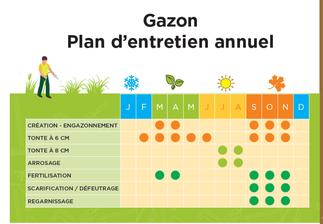 plan d'entretien gazon