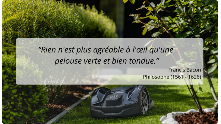 tonte de gazon