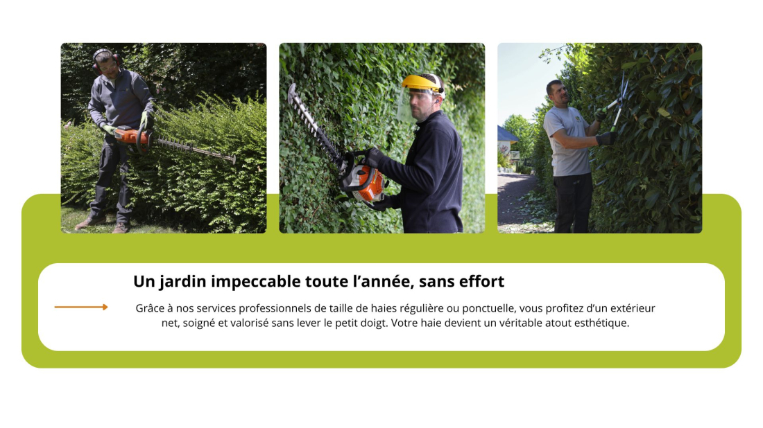Un jardin sans effort avec la taille de haies