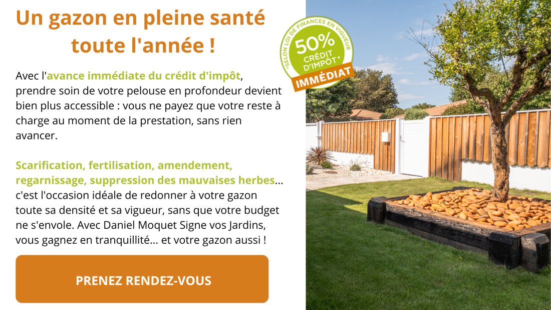 Entretien du gazon