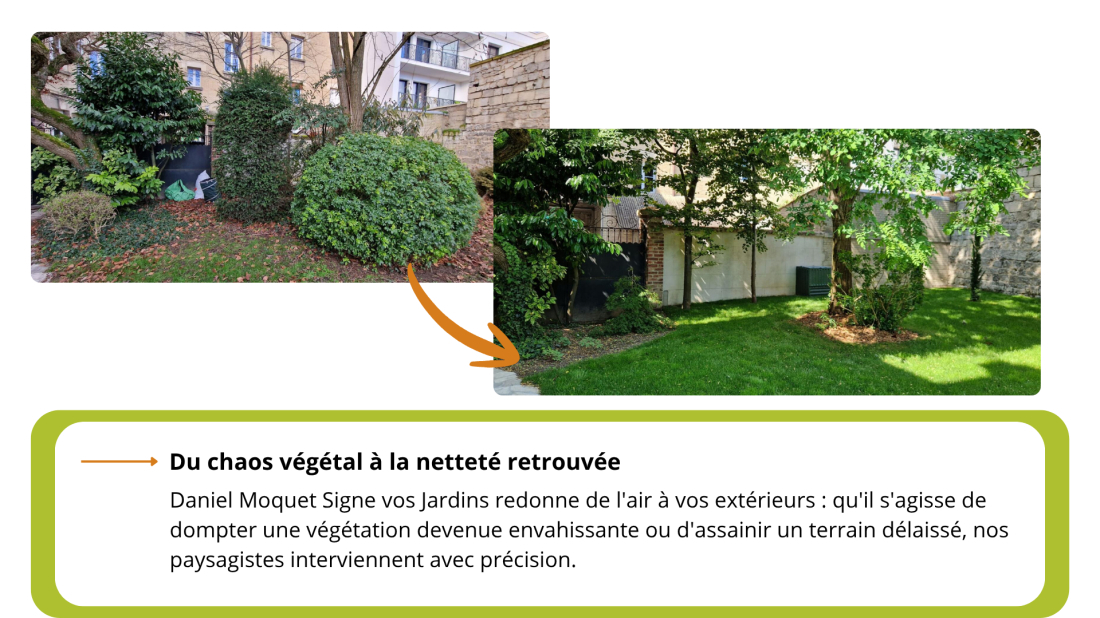 Débroussaillage avant et après