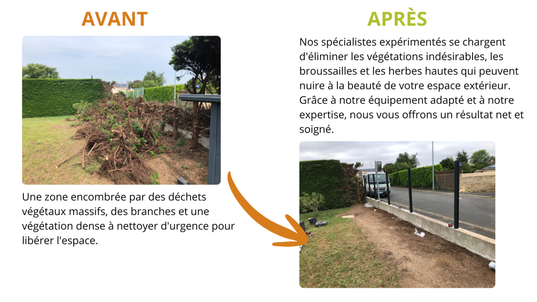 Débrousaillage avant et après