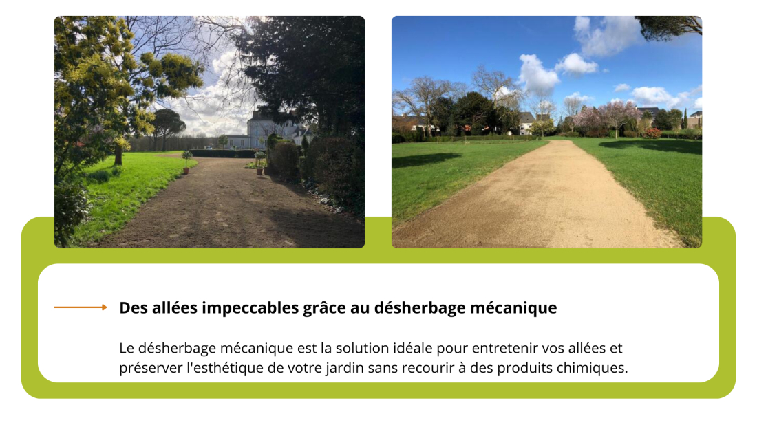 all&eacute;es avec d&eacute;sherbage m&eacute;canique