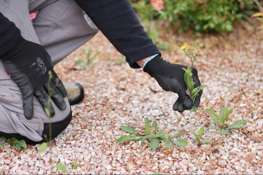 D&eacute;sherbage manuel