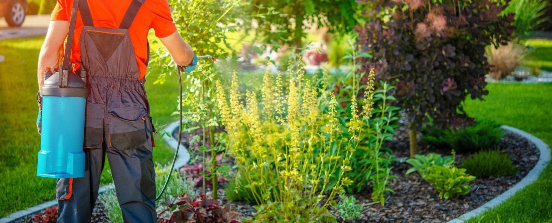 Traitement préventif