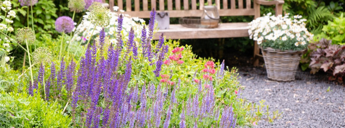 Jardin &agrave; la fran&ccedil;aise