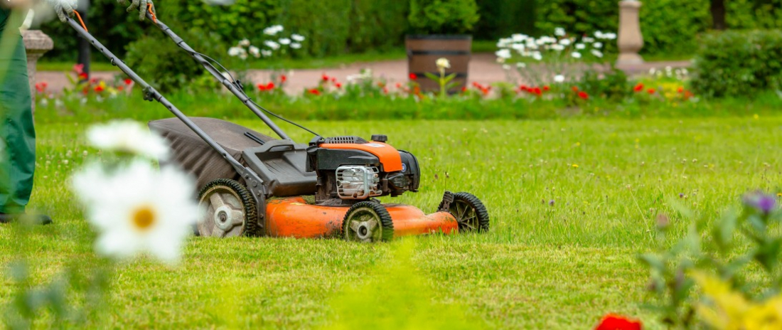 Une tonte régulière pour une pelouse en bonne santé
