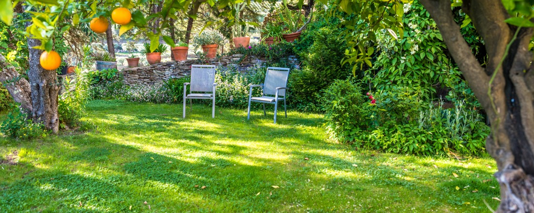 Choisir son type de gazon pour votre jardin ombragé