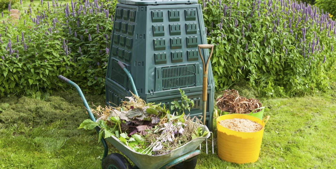 D&eacute;broussailler