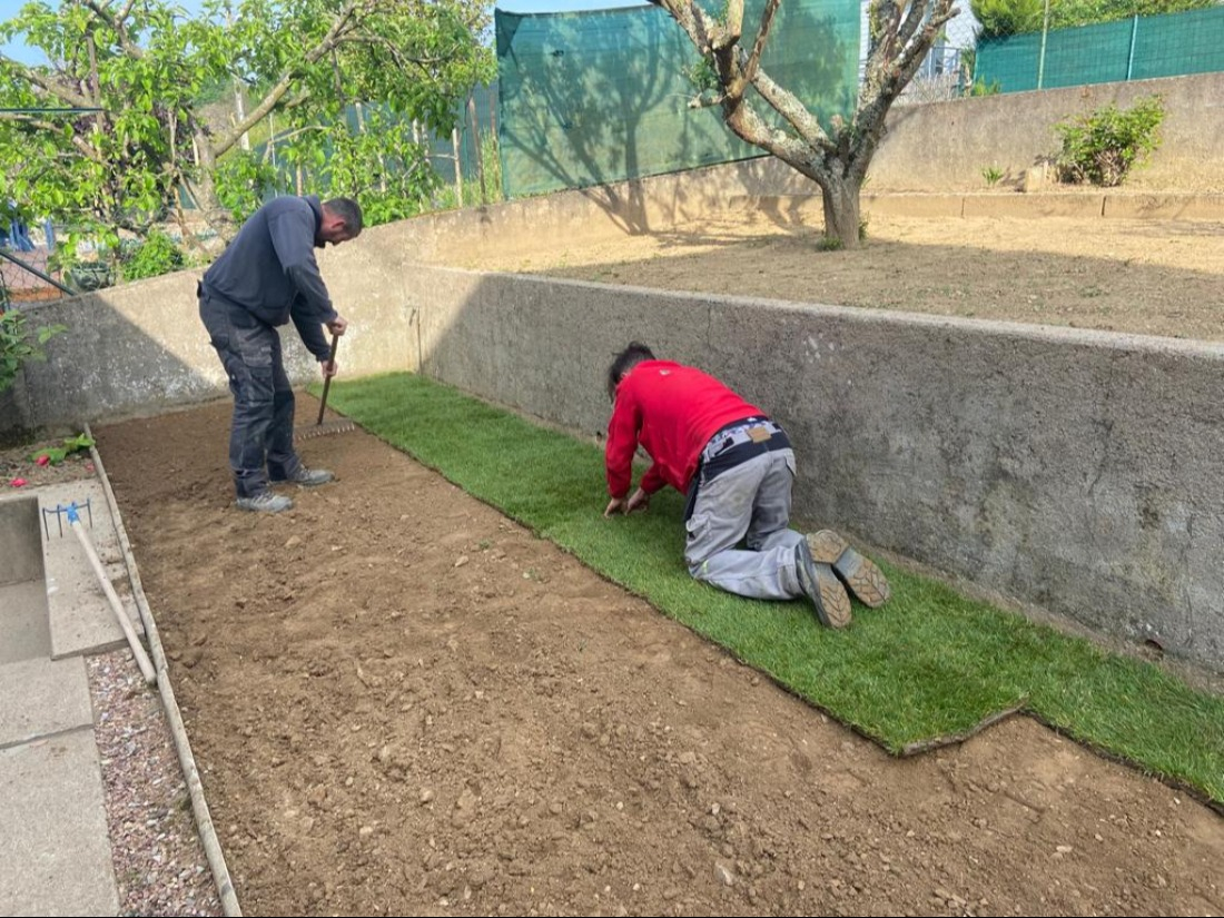 Création Gazon naturel en rouleau Daniel Moquet Jardins