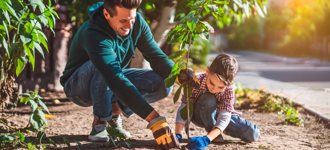 Placez l&rsquo;arbre dans son trou de plantation