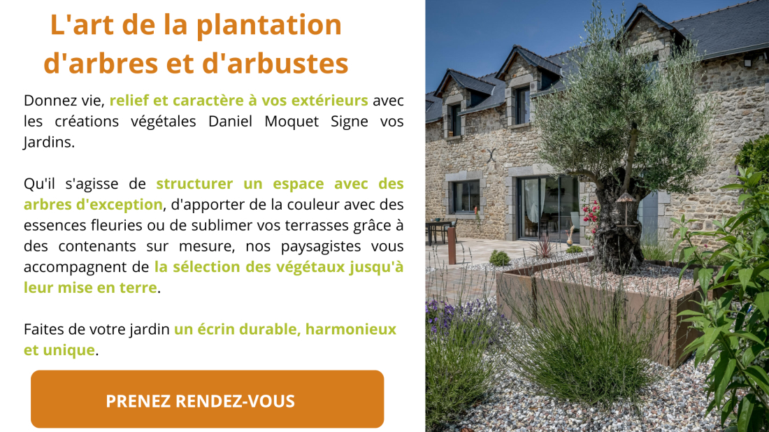 Plantation d'arbre et d'arbuste