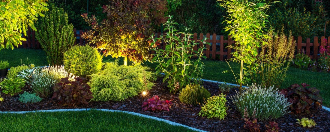 Mise en lumi&egrave;re de parterre