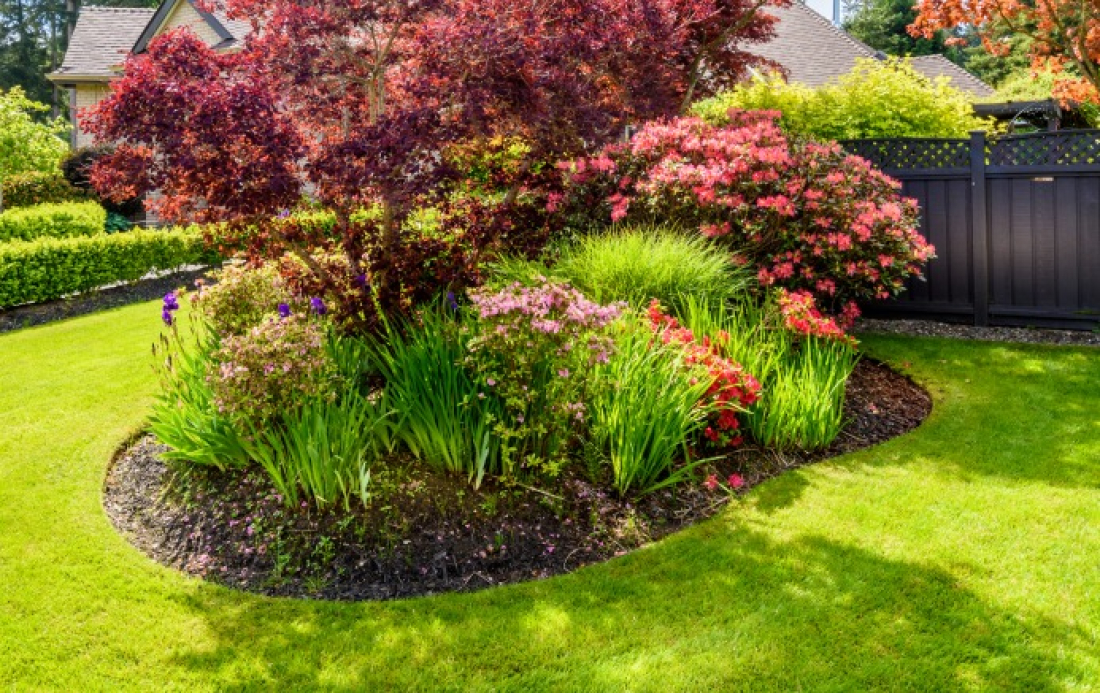 Cr&eacute;ation paysag&egrave;re d'expert