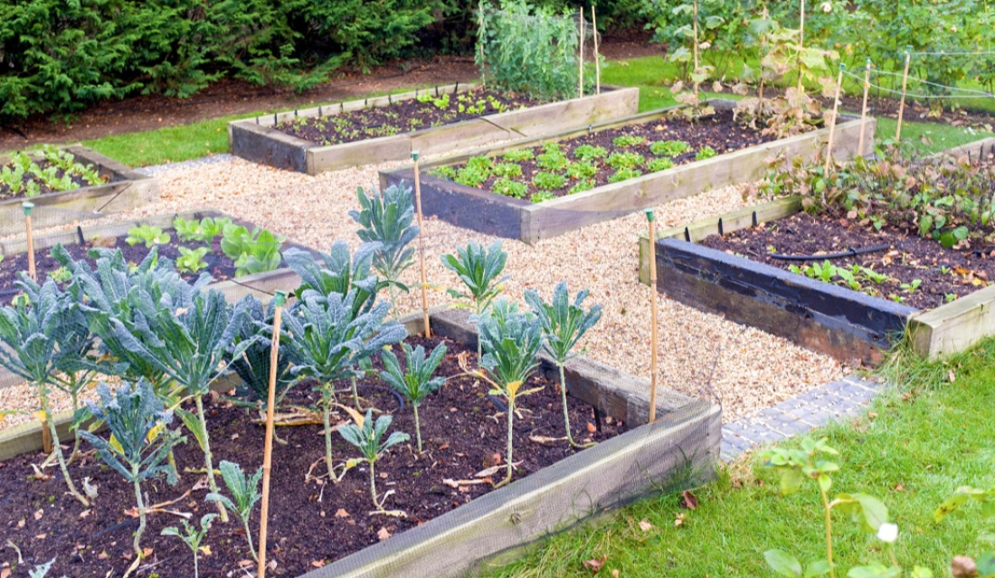 Jardin potager hivernal en permaculture