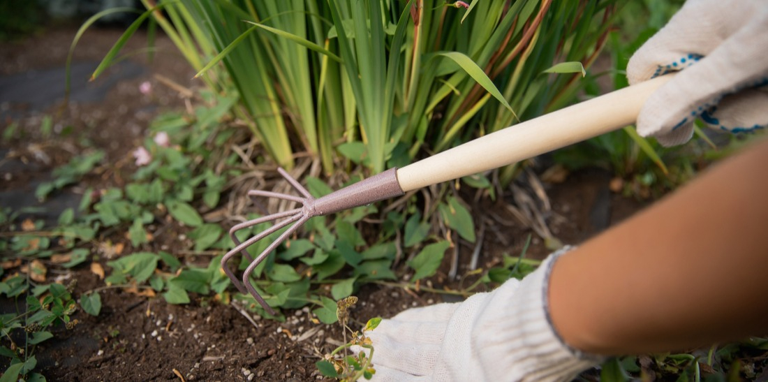 D&eacute;sherbage manuel pour l'entretien du jardin