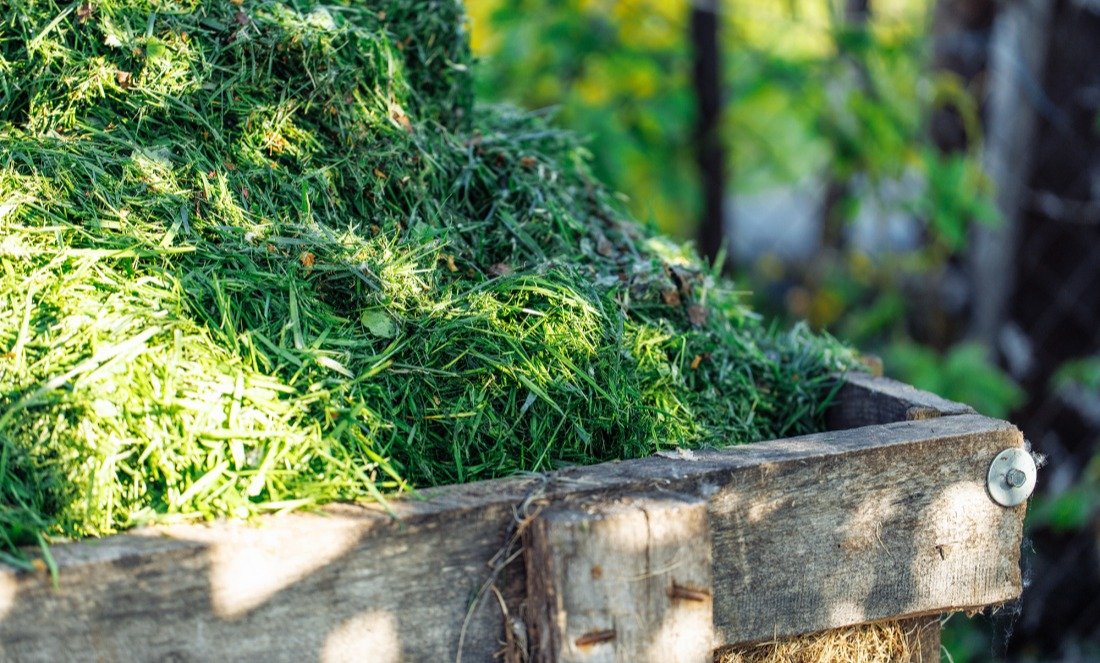 L'herbe coup&eacute;e permet d'entretenir votre jardin toute l'ann&eacute;e