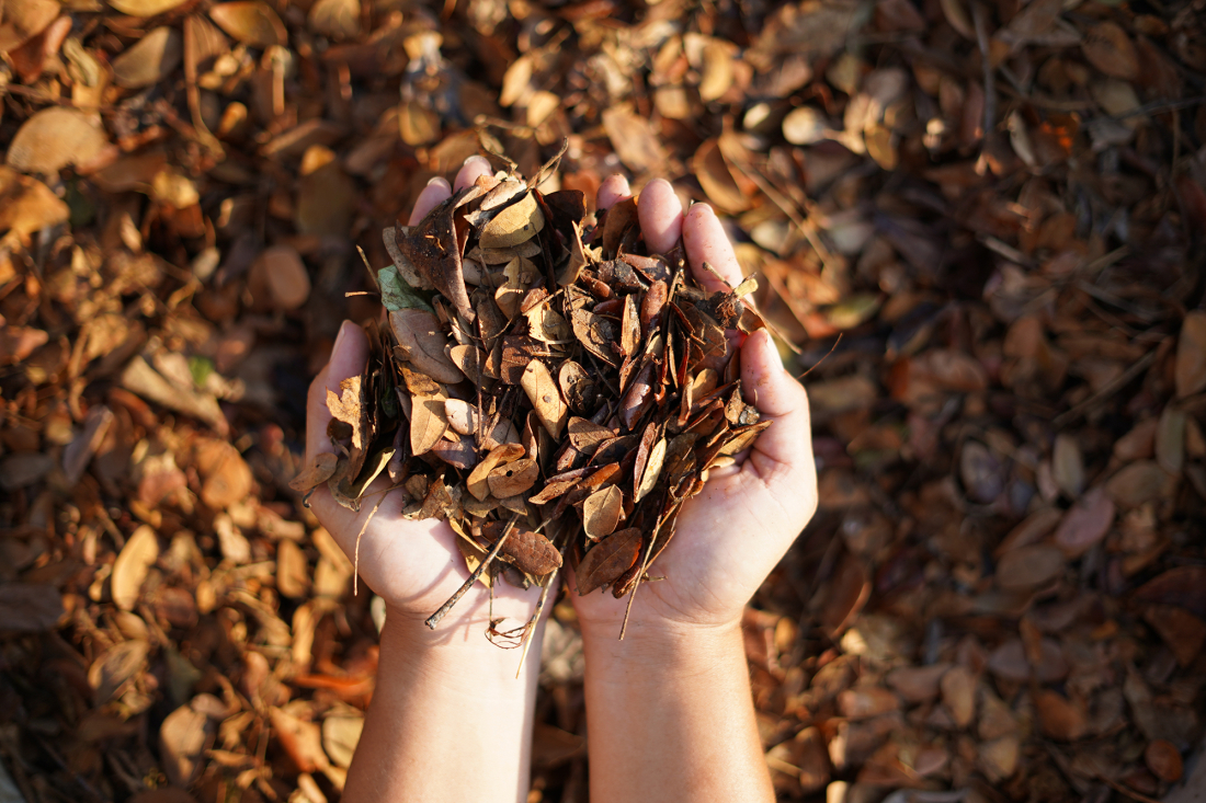 Le compostage des feuilles une richesse pour vos massifs