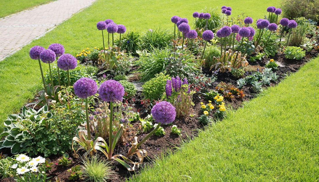 Nutrition et Floraison assur&eacute;e