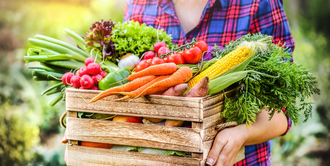 Exemple de travaux r&eacute;alis&eacute;s : la cueillette de votre potager