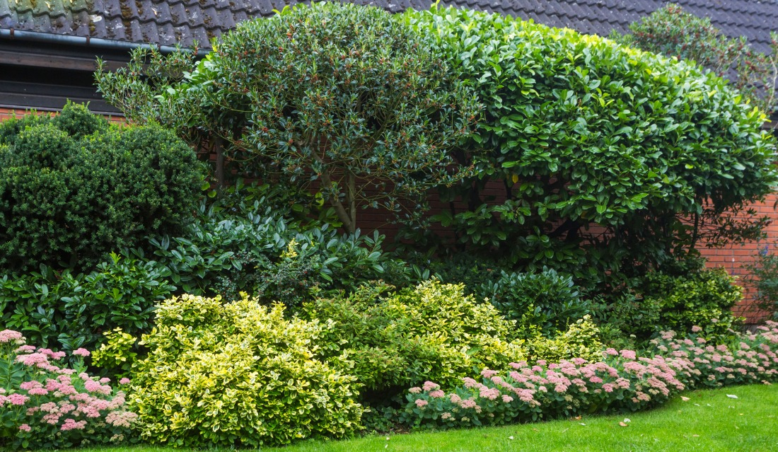 Une haie pour se mettre &agrave; l'abri du vent