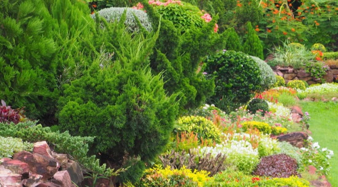 Diff&eacute;rentes formes de taille de haies