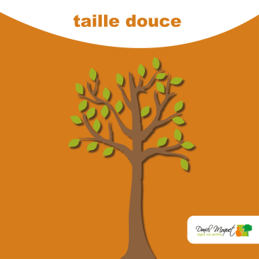 La taille douce : un &eacute;lagage raisonn&eacute;