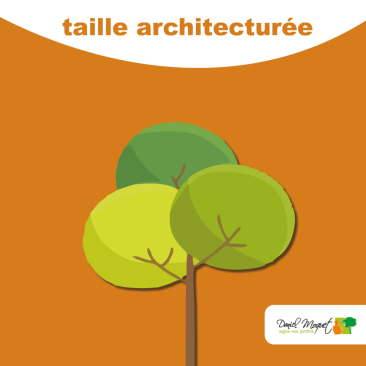 La taille architectur&eacute;e : style et caract&egrave;re