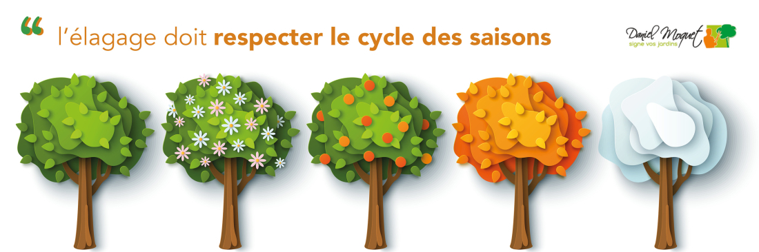&eacute;laguez en respectant les saisons