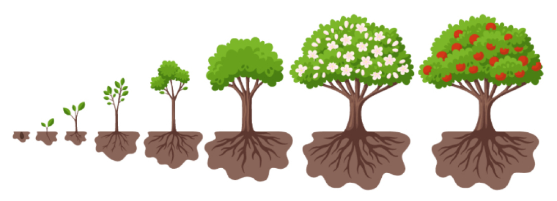 pr&eacute;servez le d&eacute;veloppement d'un arbre en l'entretenant, il vous le rendra !