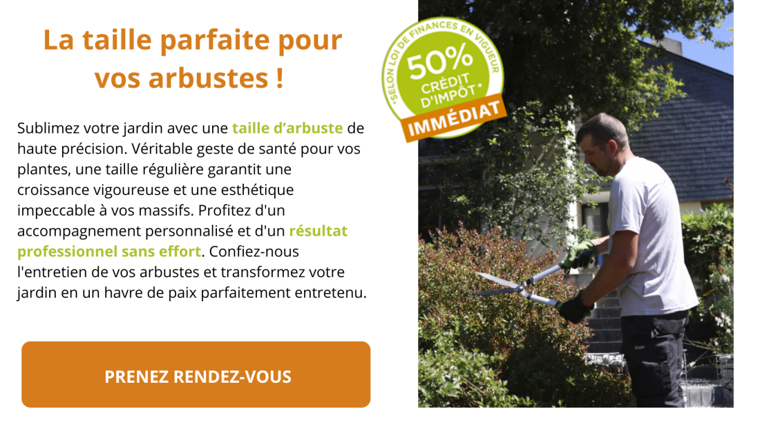Taille d'Arbuste