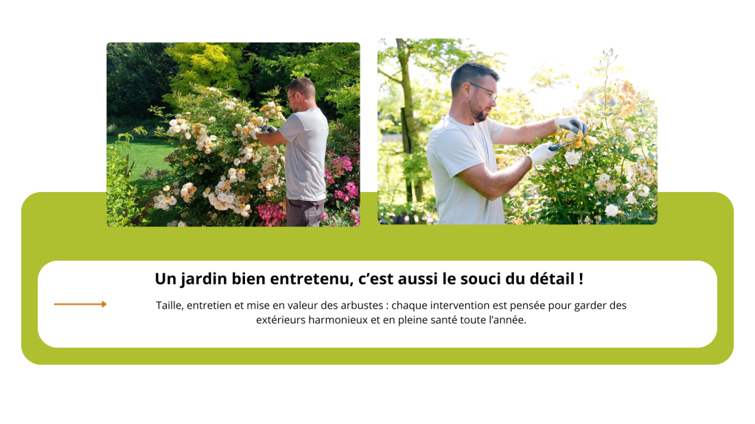 taille d'arbustes