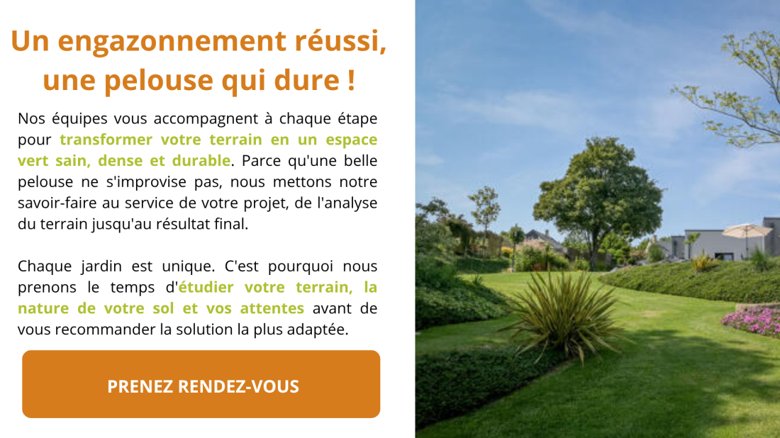 Engazonnement