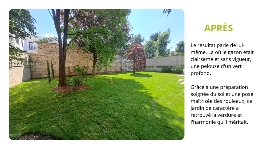 Pose de gazon en rouleau