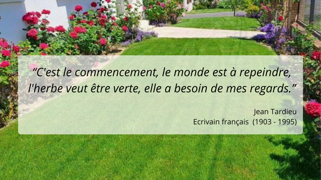 Création de gazon