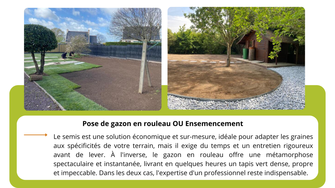 ensemencement ou gazon en rouleau