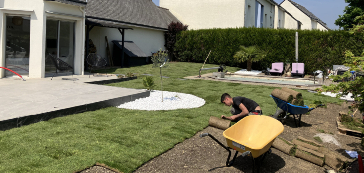 Pose d'une pelouse en rouleau