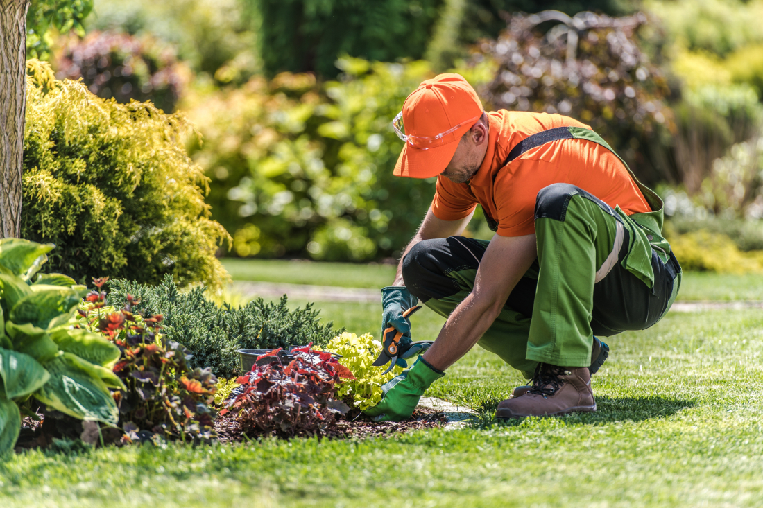 Un jardinier paysagiste travaillant dans un jardin verdoyant en France.