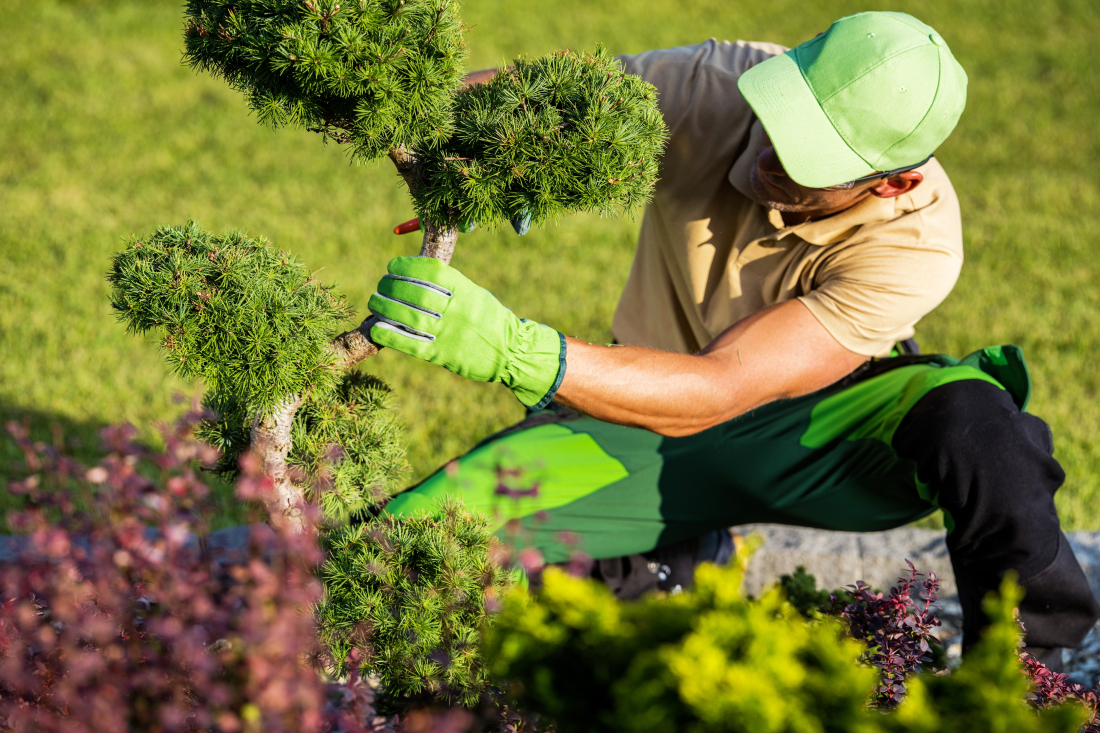 Un jardinier travaillant dans un jardin moderne et verdoyant.