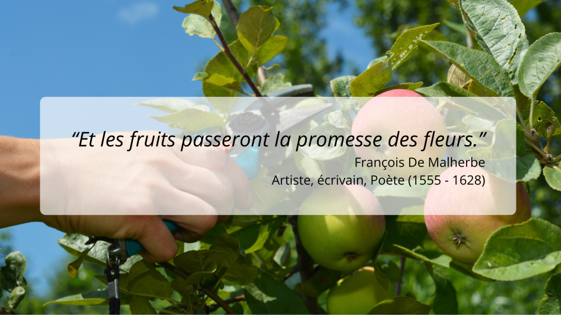 Citation Arbre fruitier