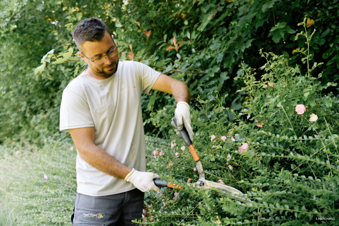 taille du jardin