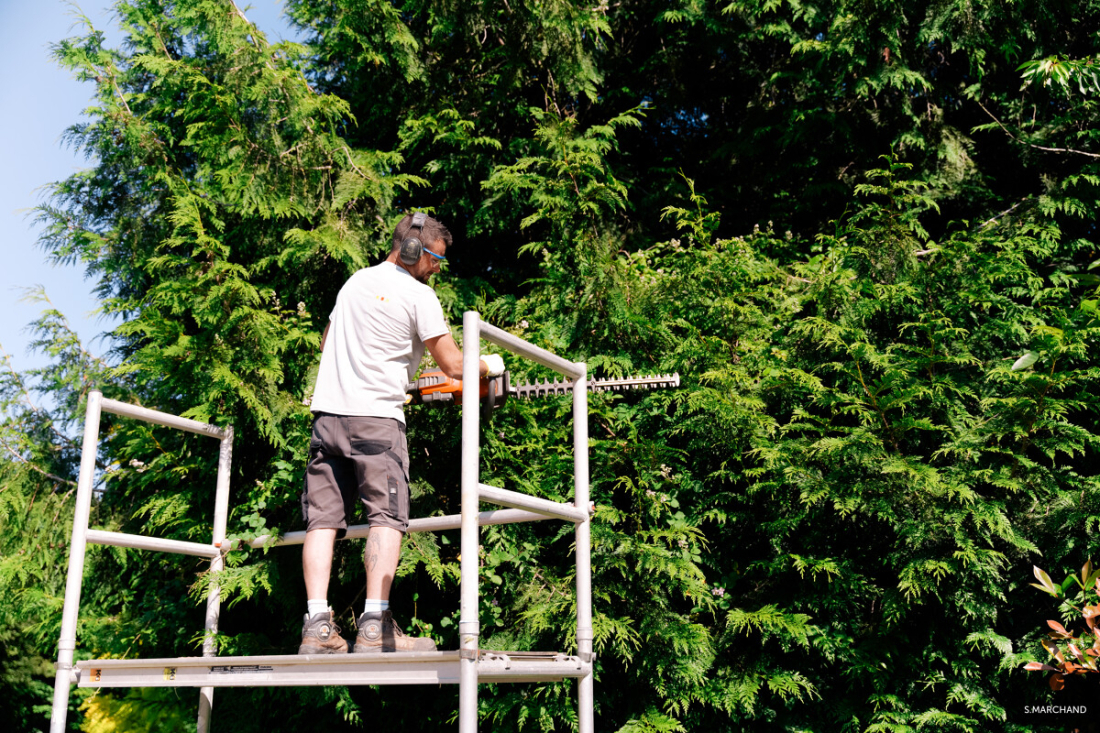 Taille de Haie : R&eacute;glementations